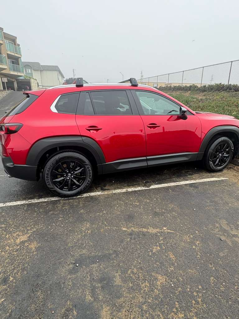 WhatsApp Image 2025-12-11 at 22.47.17 (1)