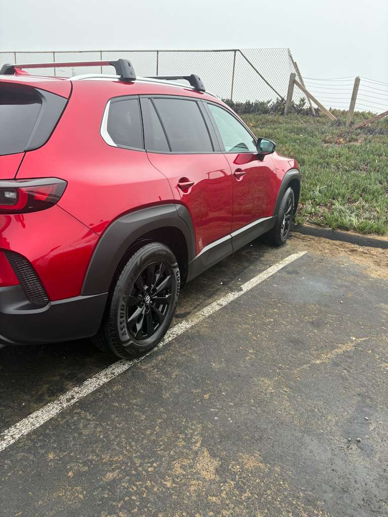 WhatsApp Image 2025-12-11 at 22.47.17 (2)